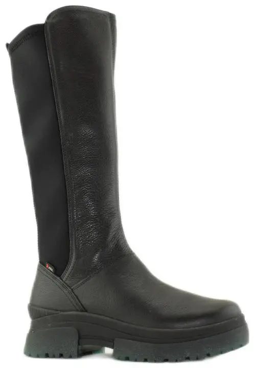 Купить W0391-00 RIEKER Cапоги женские за 7 950 руб. в интернет-магазине Дом Обуви