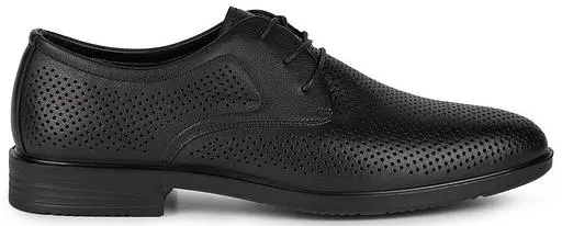 Купить 104-667B-1102 SALAMANDER Туфли мужские  за 7 710 руб. в интернет-магазине Дом Обуви