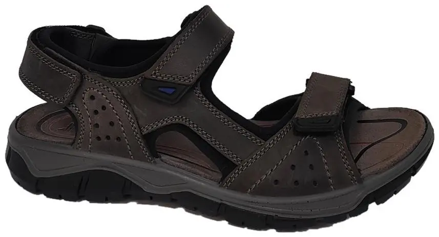 Купить 153300 3449/009 IMAC Сандалии мужские за 7 410 руб. в интернет-магазине Дом Обуви