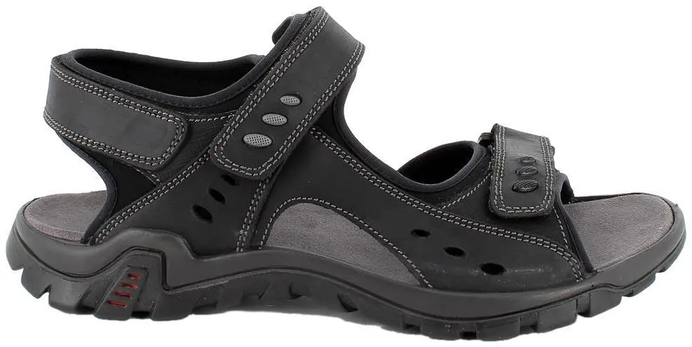 Купить 753550 3470/018 IMAC Сандалии мужские за 8 070 руб. в интернет-магазине Дом Обуви