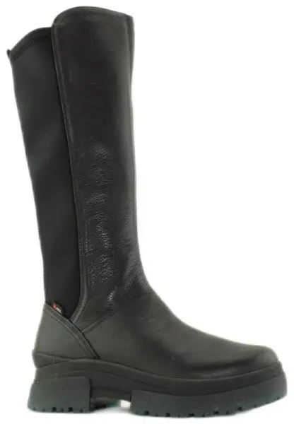 Купить W0391-00 RIEKER Cапоги женские за 7 950 руб. в интернет-магазине Дом Обуви