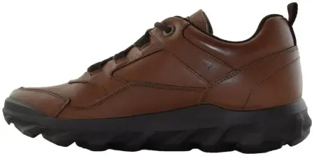 Купить 5676 LEATHER COGNAC ATRAI Кроссовки мужские за 9 980 руб. в интернет-магазине Дом Обуви