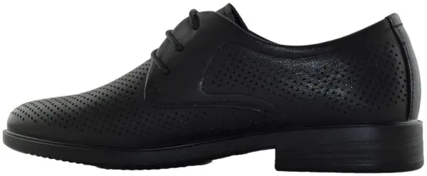 Купить 104-667B-1102 SALAMANDER Туфли мужские  за 7 710 руб. в интернет-магазине Дом Обуви