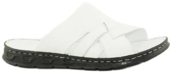 Купить D87-736 (01) ARYAN Шлепанцы мужские за 3 990 руб. в интернет-магазине Дом Обуви