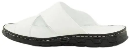 Купить D87-736 (01) ARYAN Шлепанцы мужские за 3 990 руб. в интернет-магазине Дом Обуви