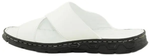 Купить D87-736 (01) ARYAN Шлепанцы мужские за 3 990 руб. в интернет-магазине Дом Обуви