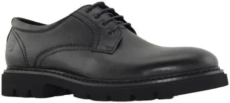 Купить 058-3230B-1102 SALAMANDER Полуботинки мужские  за 8 600 руб. в интернет-магазине Дом Обуви Купить 058-3230B-1102 SALAMANDER Полуботинки мужские  за 8 600 руб. в интернет-магазине Дом Обуви