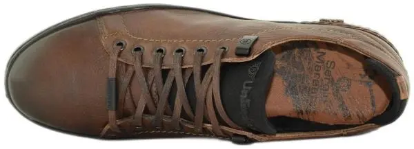 Купить B905лп Sergio Mareatti Кеды мужские за 6 140 руб. в интернет-магазине Дом Обуви