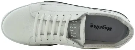 Купить 117-1715-103 Magellan Кеды мужские за 4 960 руб. в интернет-магазине Дом Обуви