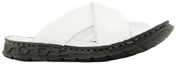 Купить  D87-737 (01) ARYAN Шлепанцы мужские за 3 990 руб. в интернет-магазине Дом Обуви Купить  D87-737 (01) ARYAN Шлепанцы мужские за 3 990 руб. в интернет-магазине Дом Обуви