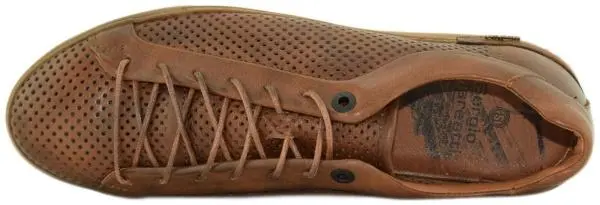 Купить Л085лп Sergio Mareatti Кеды мужские за 4 680 руб. в интернет-магазине Дом Обуви