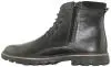 Купить Б204-969-17 Sergio Mareatti  Ботинки мужские за 4 990 руб. в интернет-магазине Дом Обуви