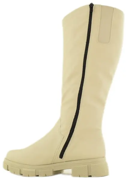 Купить Y7190-60 RIEKER Cапоги женские за 8 950 руб. в интернет-магазине Дом Обуви