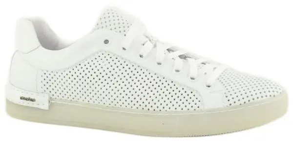 Купить Л085вп Sergio Mareatti Кеды мужские за 4 680 руб. в интернет-магазине Дом Обуви