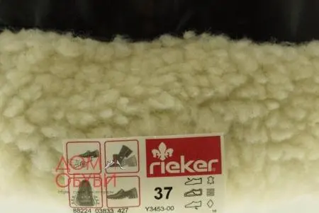 Купить Y3453-00 RIEKER Полусапоги женские  за 2 980 руб. в интернет-магазине Дом Обуви