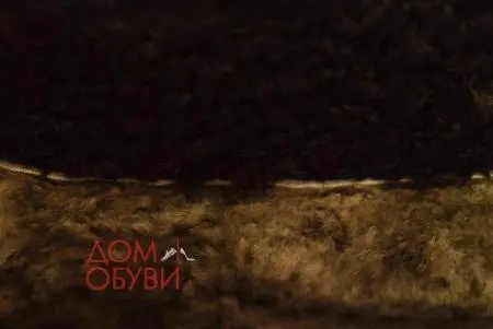 Купить IS10-110272/8 Respect Сапоги женские за 5 590 руб. в интернет-магазине Дом Обуви