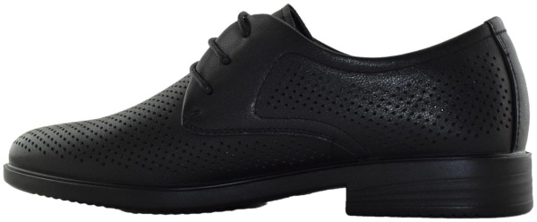 Купить 104-667B-1102 SALAMANDER Туфли мужские  за 7 710 руб. в интернет-магазине Дом Обуви