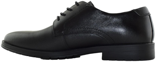 Купить 104-558B-1102 SALAMANDER Туфли мужские  за 7 970 руб. в интернет-магазине Дом Обуви