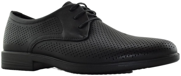 Купить 104-667B-1102 SALAMANDER Туфли мужские  за 7 710 руб. в интернет-магазине Дом Обуви