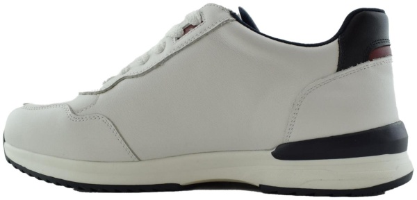 Купить 104-661A-2101 SALAMANDER Кроссовки мужские  за 8 350 руб. в интернет-магазине Дом Обуви