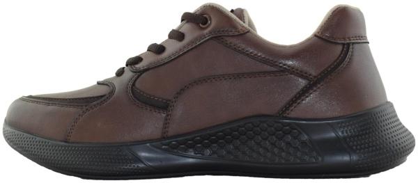 Купить FL96_A32-3-T_BROWN  EL TEMPO Кроссовки мужские за 3 950 руб. в интернет-магазине Дом Обуви